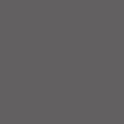 Coloris Gris onyx