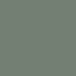 Coloris Vert eucalyptus